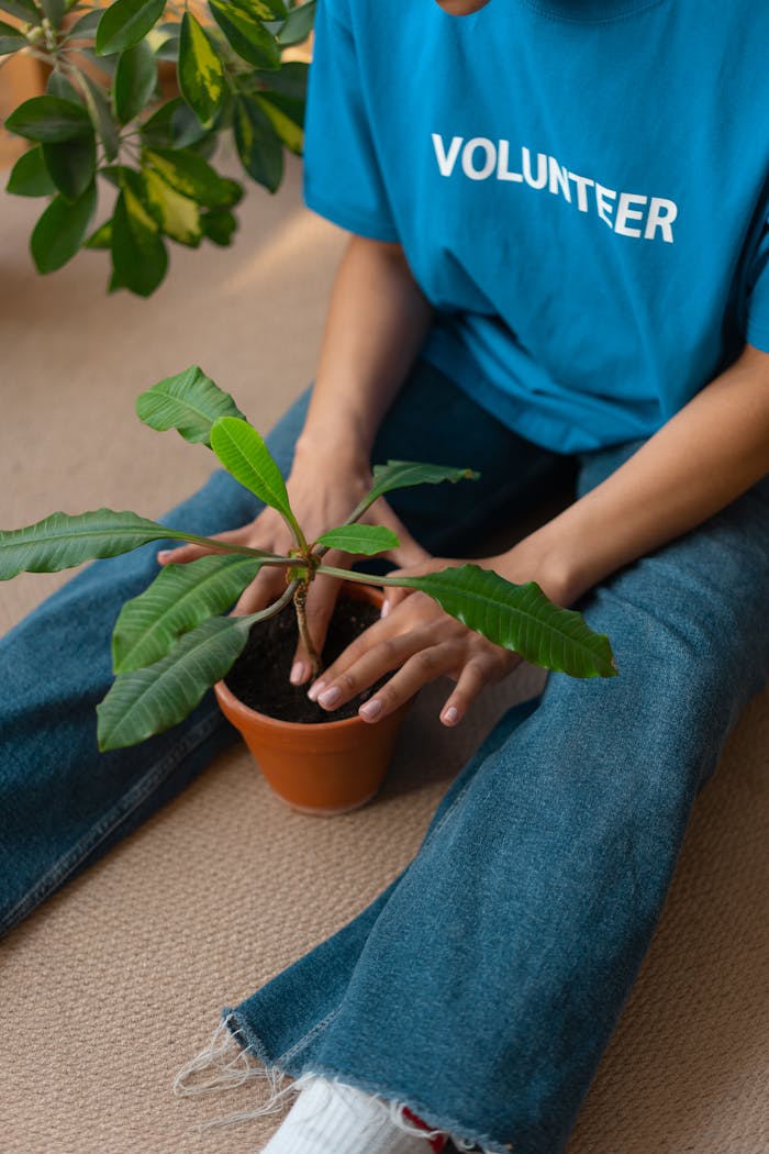 A person in a volunteer shirt repots a plant indoors.